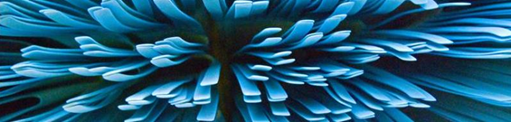 _61_dsc_4100_fixad.jpg